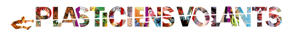Logo Plasticiens Volants
