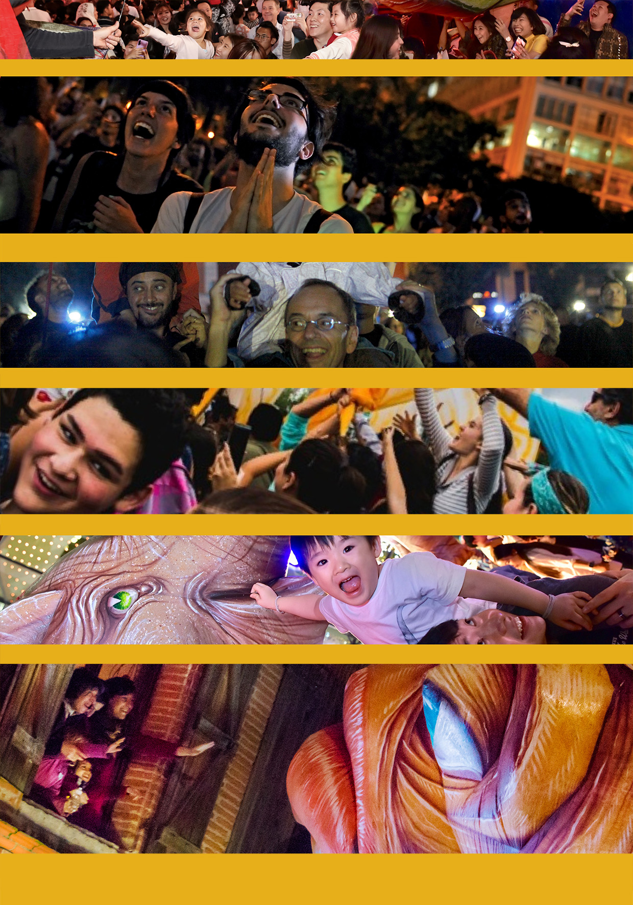 Personnes du public, Plasticiens Volants