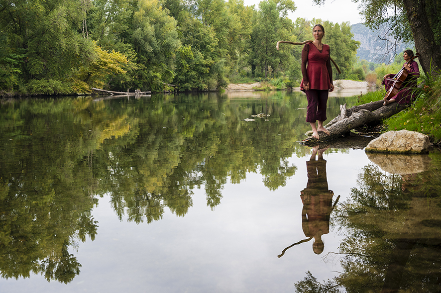 Nature Equilibre Branche Eau Harmonie Cirque